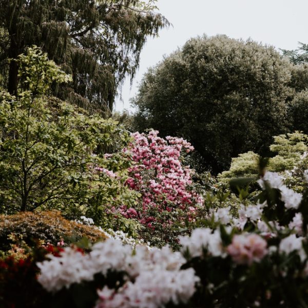 annie-spratt-kiWT9i3drJ8-unsplash