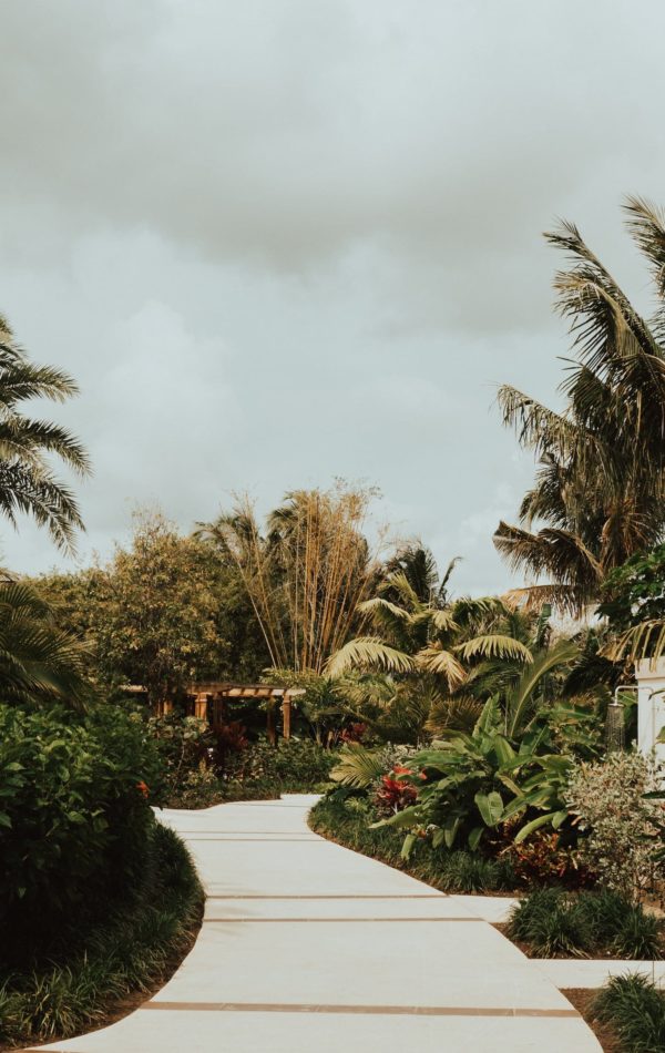 cody-board-4xZFlHqT0KQ-unsplash