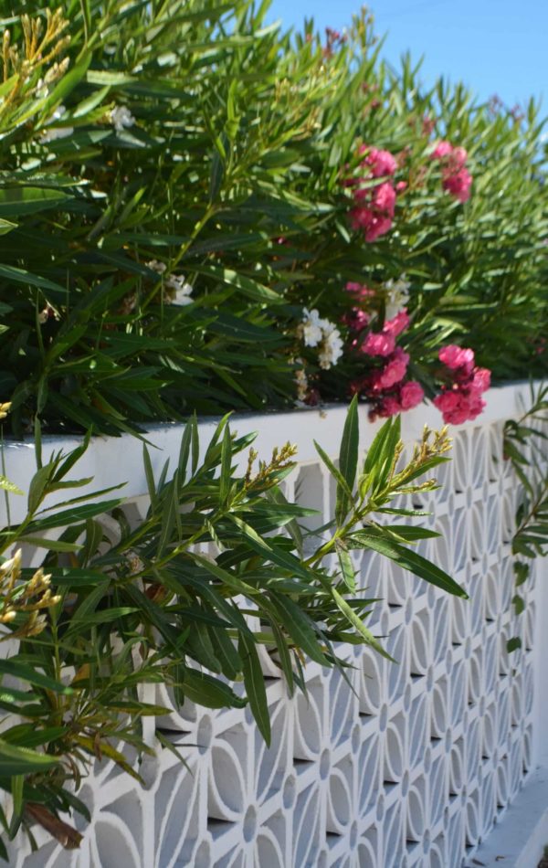 marie-francois-W-KeGUDsGoE-unsplash