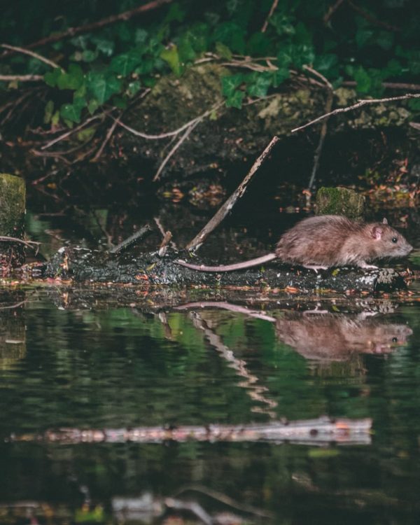 matt-seymour-KUdJISWV6kI-unsplash