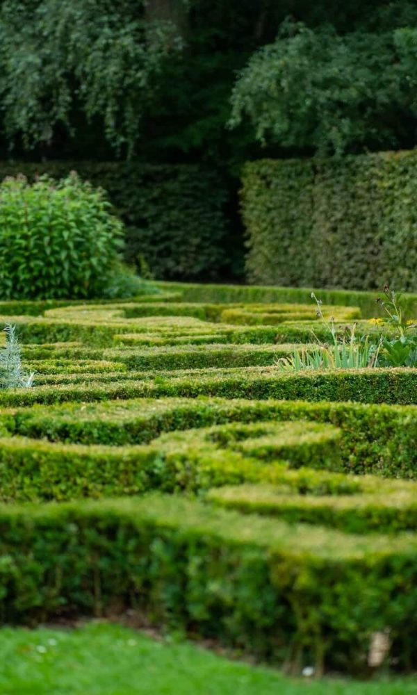 Hedge Trimming and Pruning Services Sydney