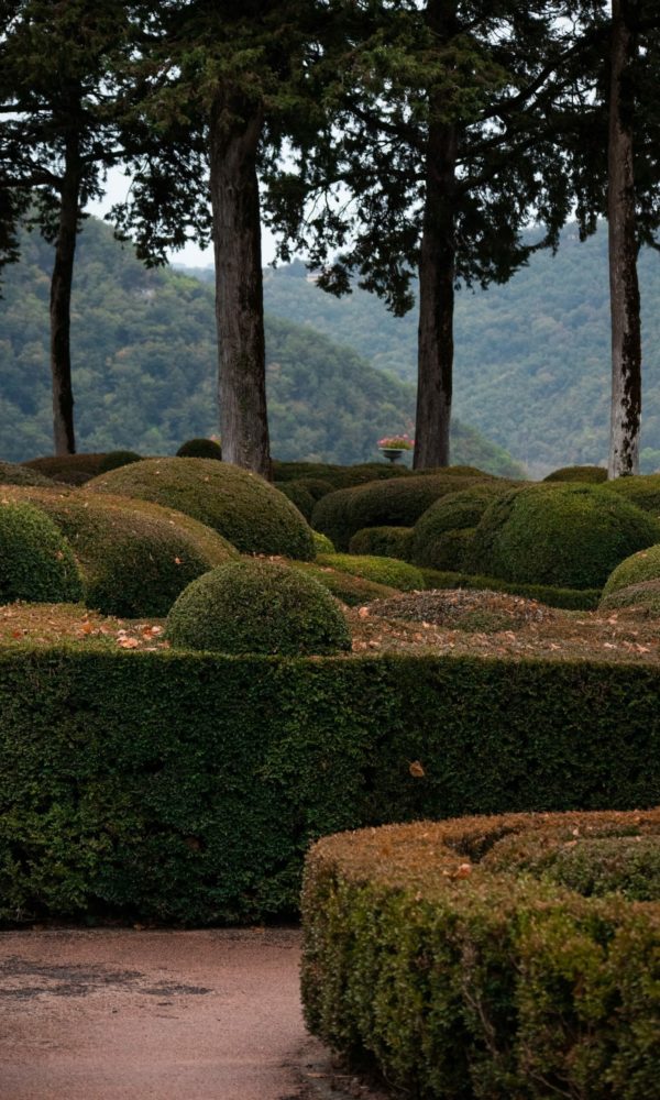 pexels-denis-lesenfants-15367620