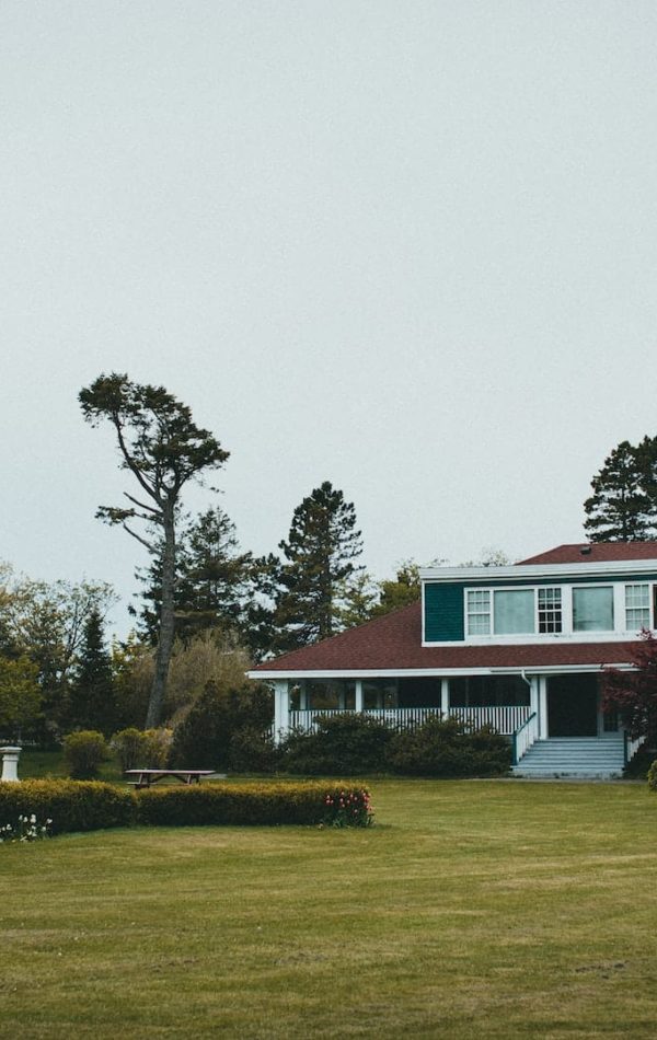 pexels-jonathan-cooper-12503553