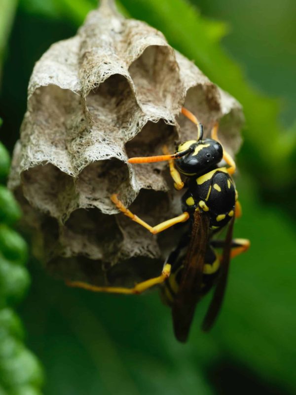 victor-grabarczyk-nG7Zlf3Gi90-unsplash